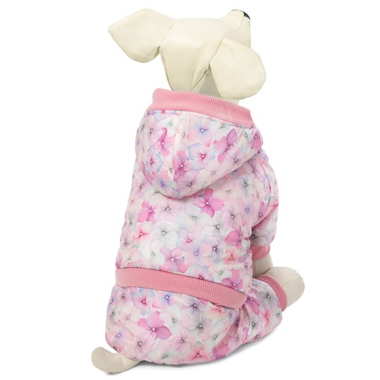 Изображение на странице