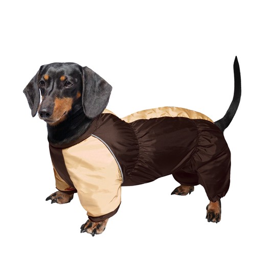 Изображение на странице