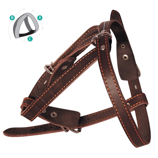 Изображение на странице