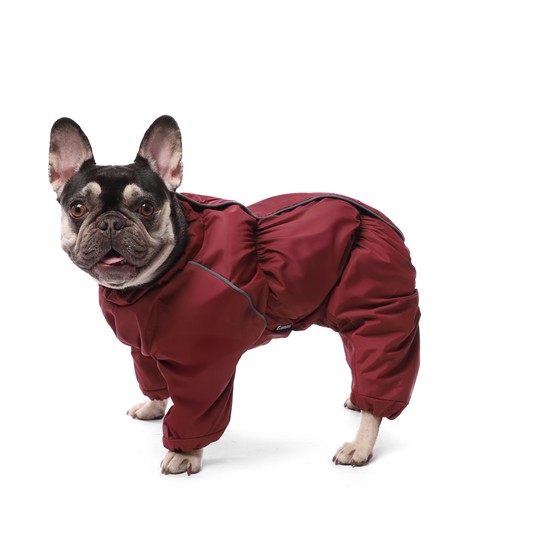 Изображение на странице