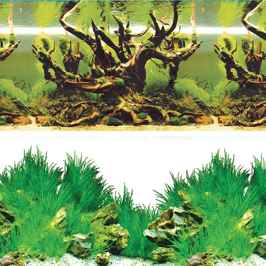 Фон декоративный двусторонний "Таинственный лес/Новое утро", 1000*500мм