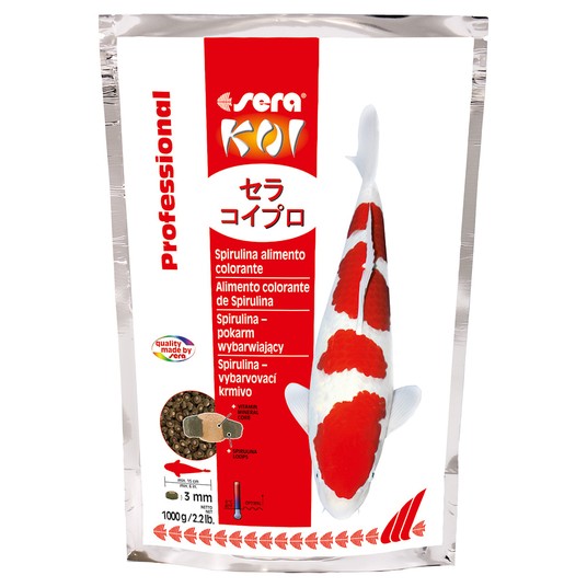 Изображение на странице