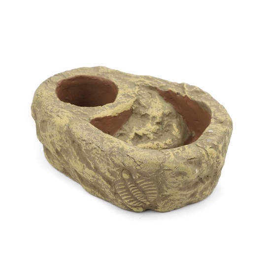 Изображение на странице