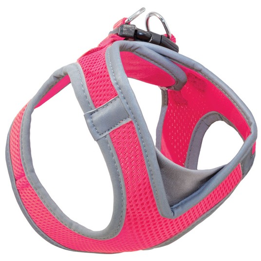 Изображение на странице