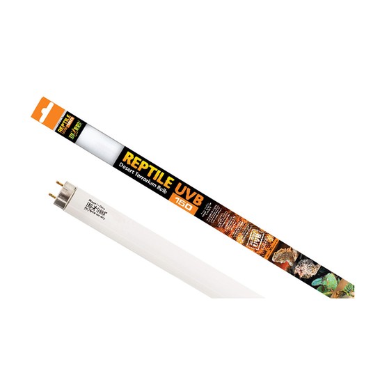 Изображение на странице