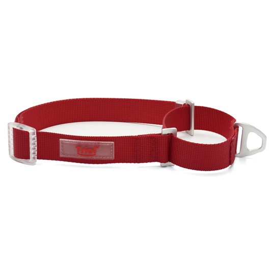 Ошейник-мартингейл (полуудавка) нейлоновый, "Стандарт" M, красный, 20*380-540мм