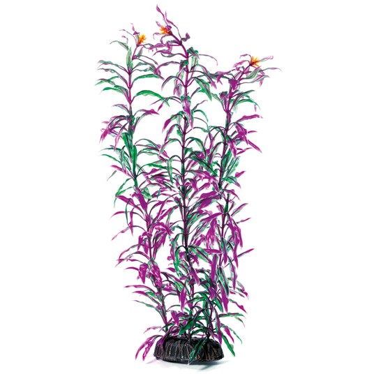 Изображение на странице