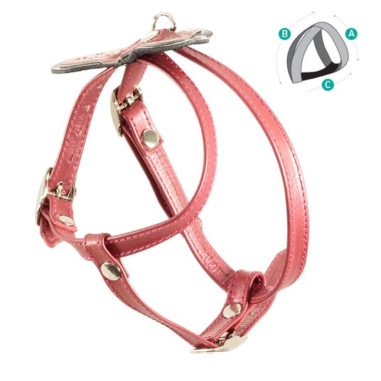 Изображение на странице