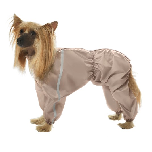 Изображение на странице