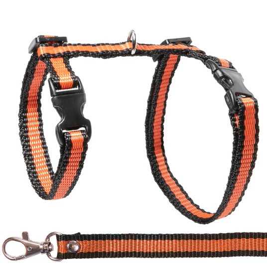 Изображение на странице