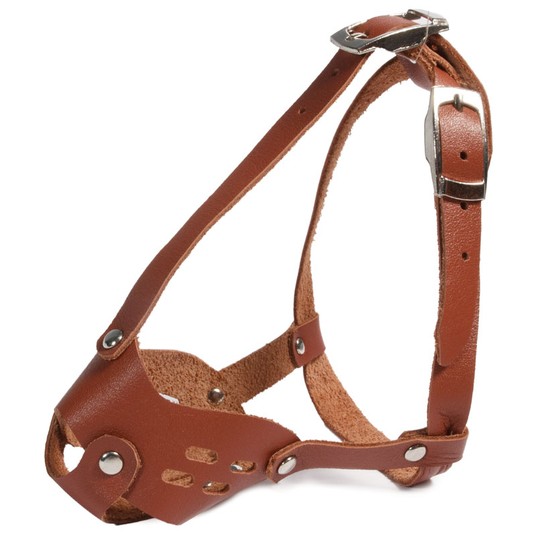 Изображение на странице