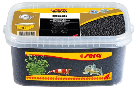 Изображение на странице