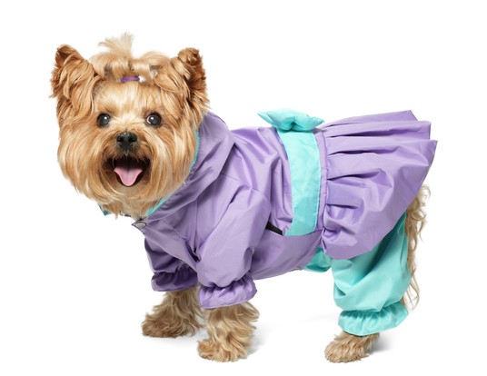 Изображение на странице