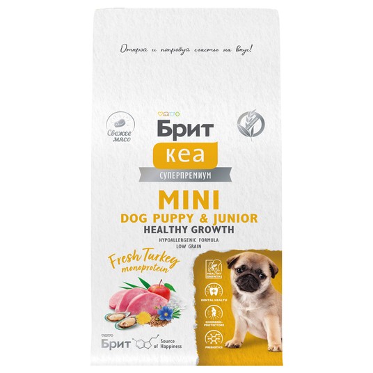 Изображение на странице