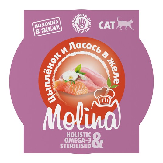 Изображение на странице