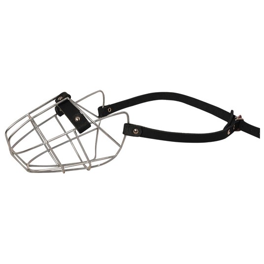 Изображение на странице