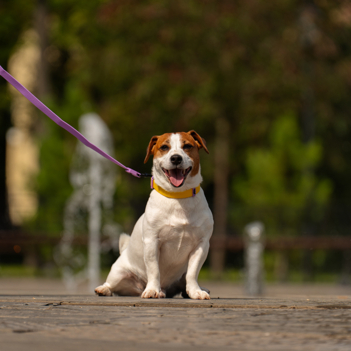 Поводок из биотана "Матрица" S, сиреневый, 15*2000мм 5