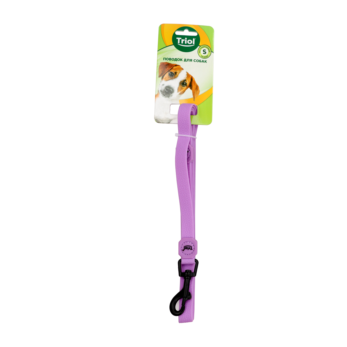 Изображение на странице