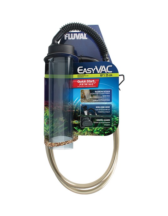 Изображение на странице