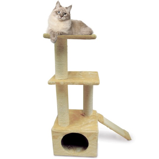 Изображение на странице