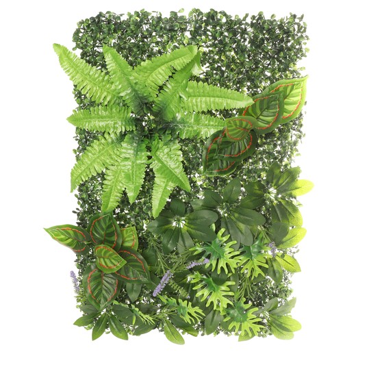 Изображение на странице