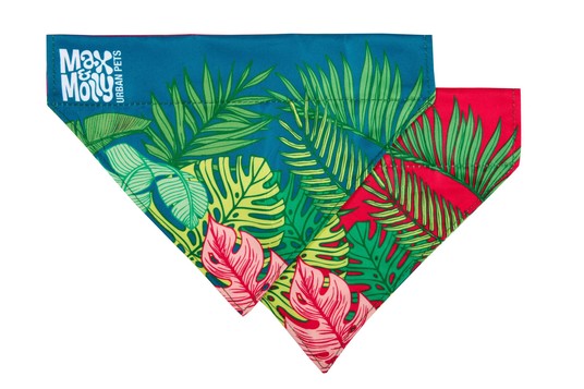 Изображение на странице