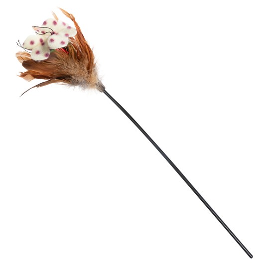 Изображение на странице