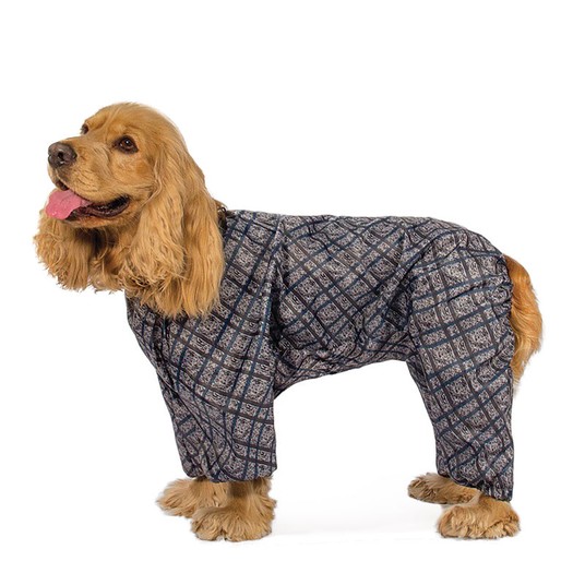 Изображение на странице