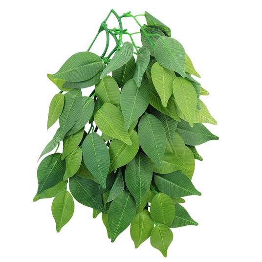 Изображение на странице