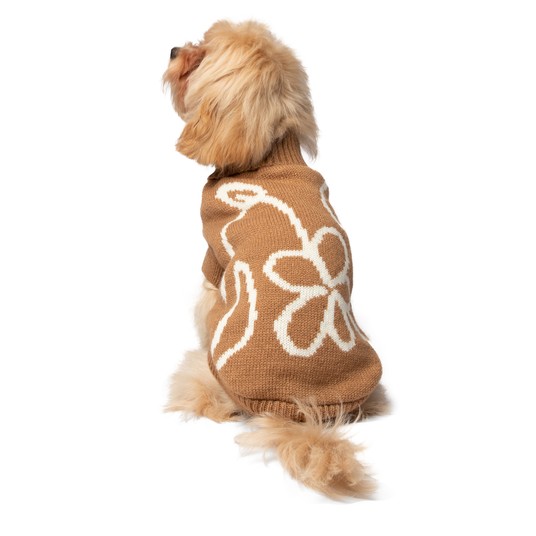 Изображение на странице