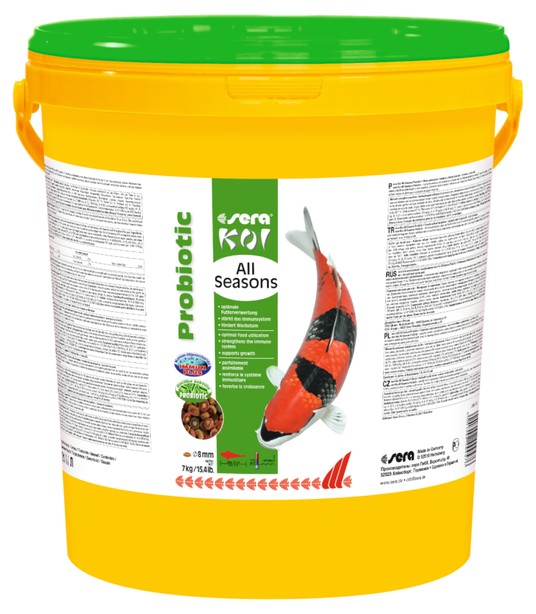 Изображение на странице