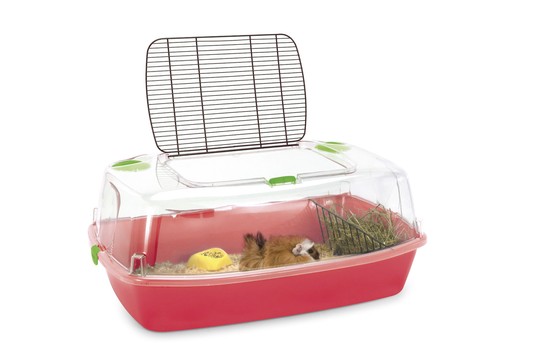 Изображение на странице