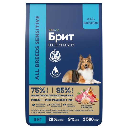 Изображение на странице