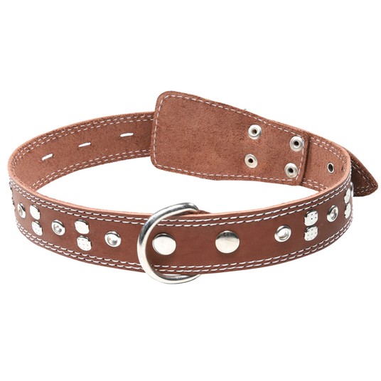 Изображение на странице