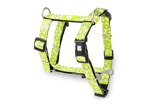 Изображение на странице