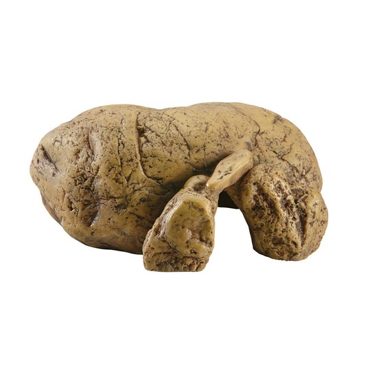 Изображение на странице