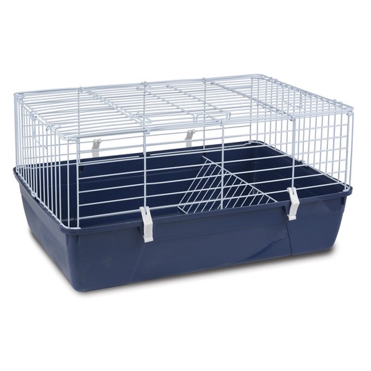 Изображение на странице