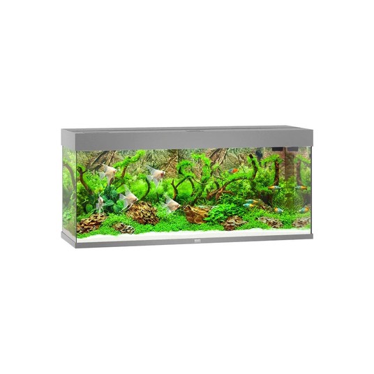 Изображение на странице