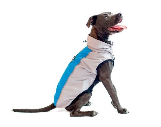 Изображение на странице