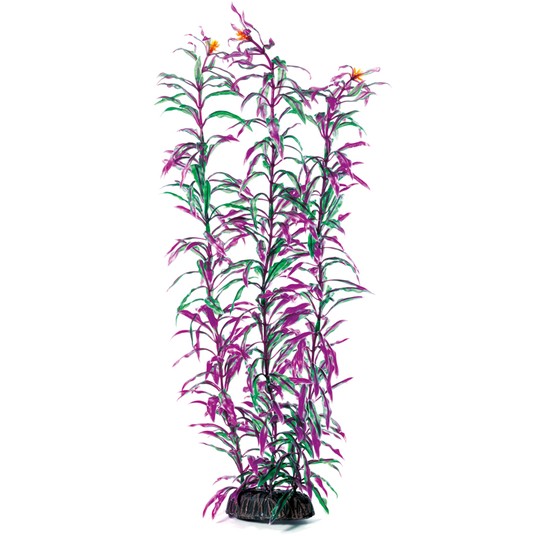 Изображение на странице