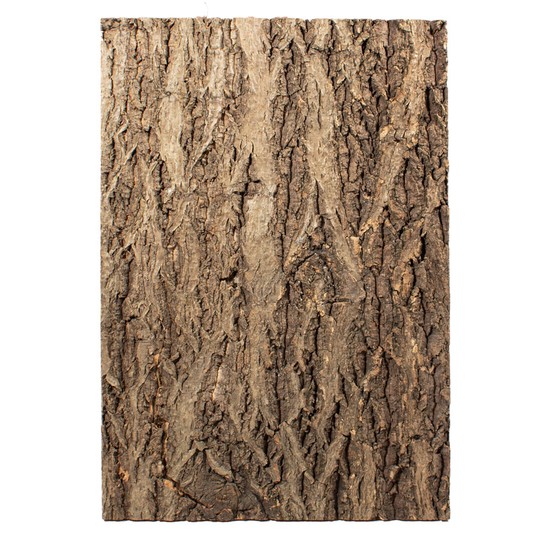 Изображение на странице