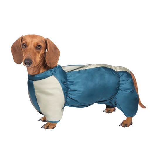 Изображение на странице