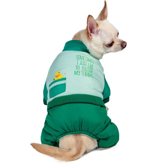 Комбинезон зимний Disney Winnie-the-Pooh Green XS, размер 20см