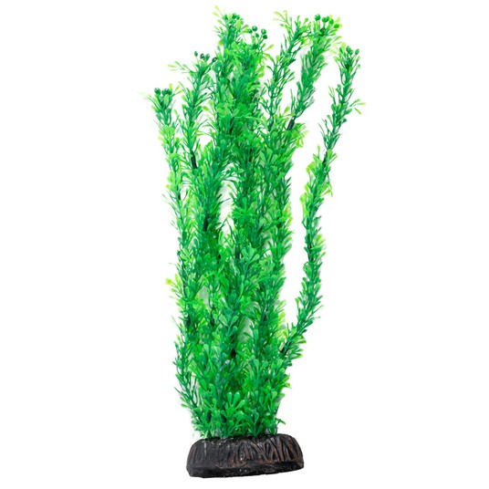 Изображение на странице