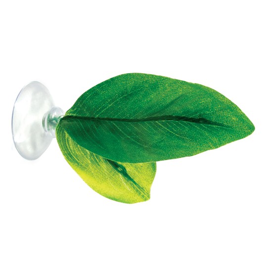 Изображение на странице