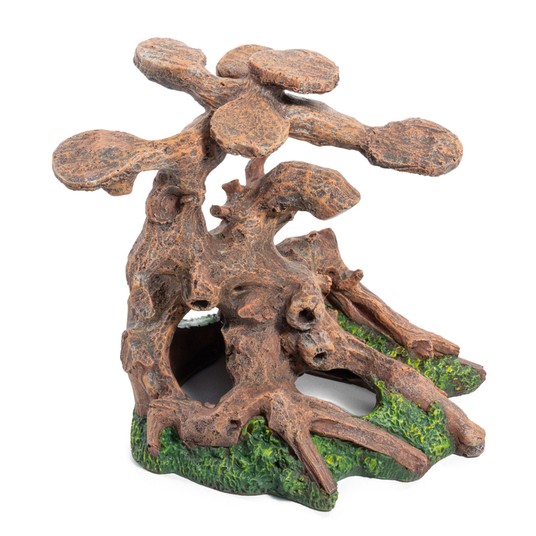 Изображение на странице