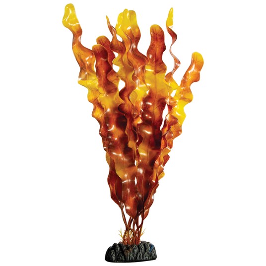 Изображение на странице