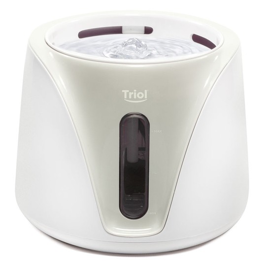 Изображение на странице