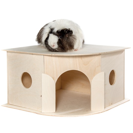 Изображение на странице