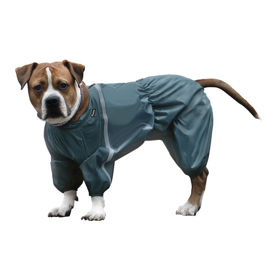 Изображение на странице